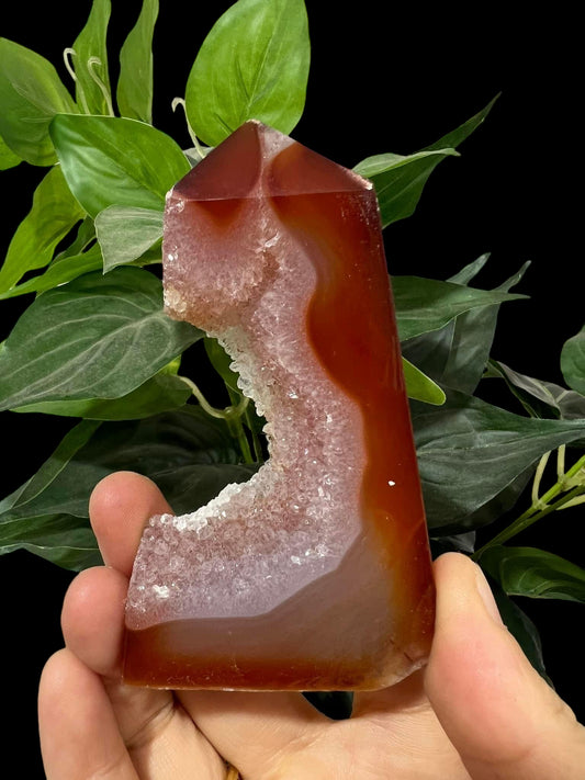 Carnelian Tower flat 4-8"