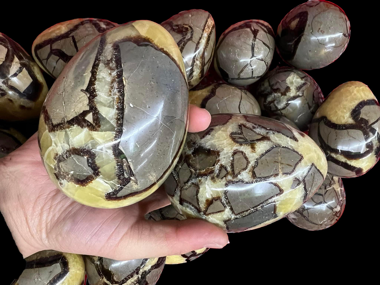 Septarian Egg Carving 3.5"