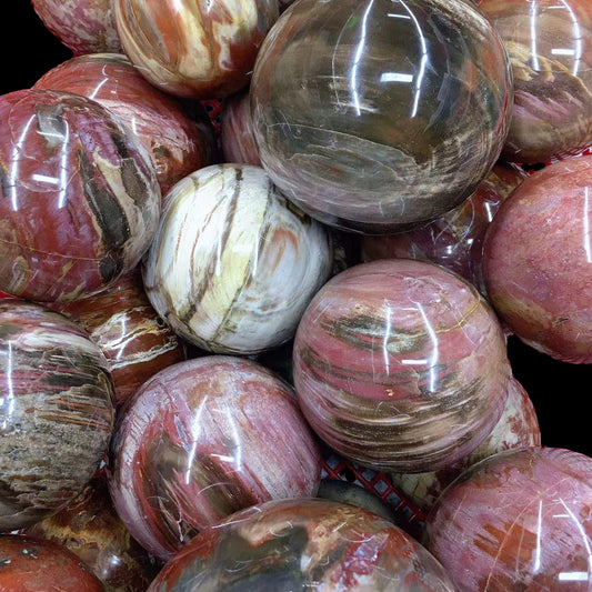 Petrified Wood Sphere