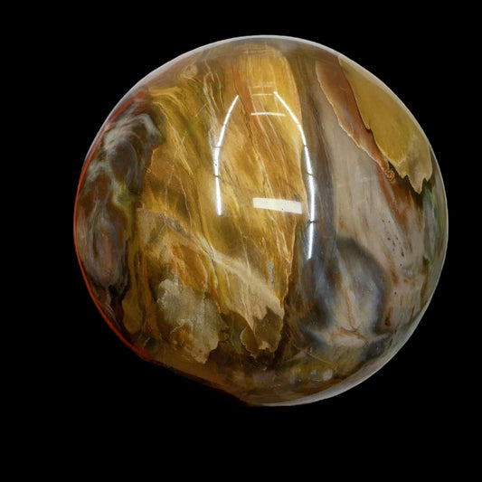 Petrified Wood Sphere