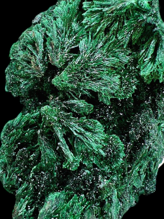 Raw Fibrous Malachite Specimen 3-4"