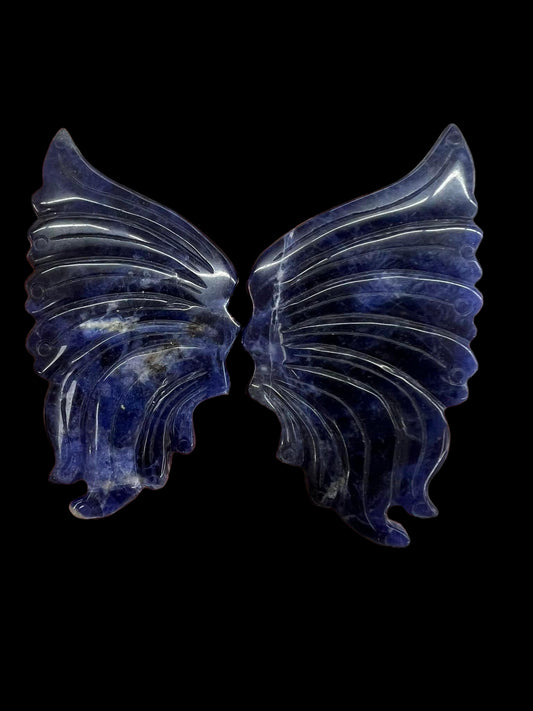 Sodalite Wings 3.5" with stands