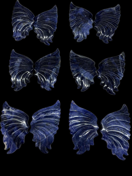 Sodalite Wings 3.5" with stands